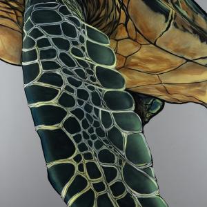 Nest Costs are Up (canvas print)