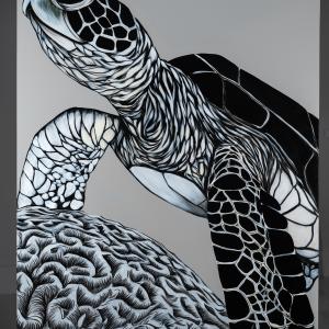 Monochromatic Sea Turtle (canvas print)