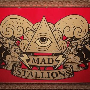 "Mad Stallions"
