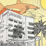 "Tiburón a la vista!!"