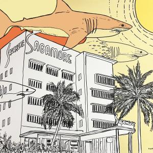 "Tiburón a la vista!!"