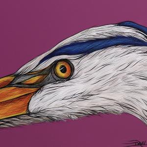 Great Blue Heron on the Hunt (print)
