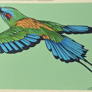 Turquoise-browed Motmot