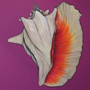 Queen Conch (print)